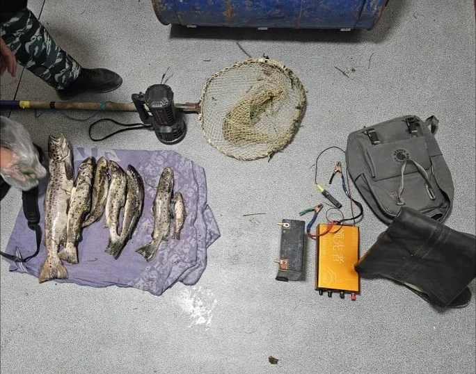 At Issyk-Kul, poaching activities using electric current were intercepted