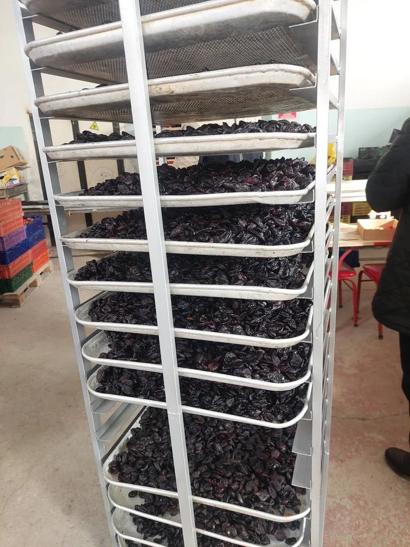 В Кадамжае открыли современный цех по переработке сушеных фруктов