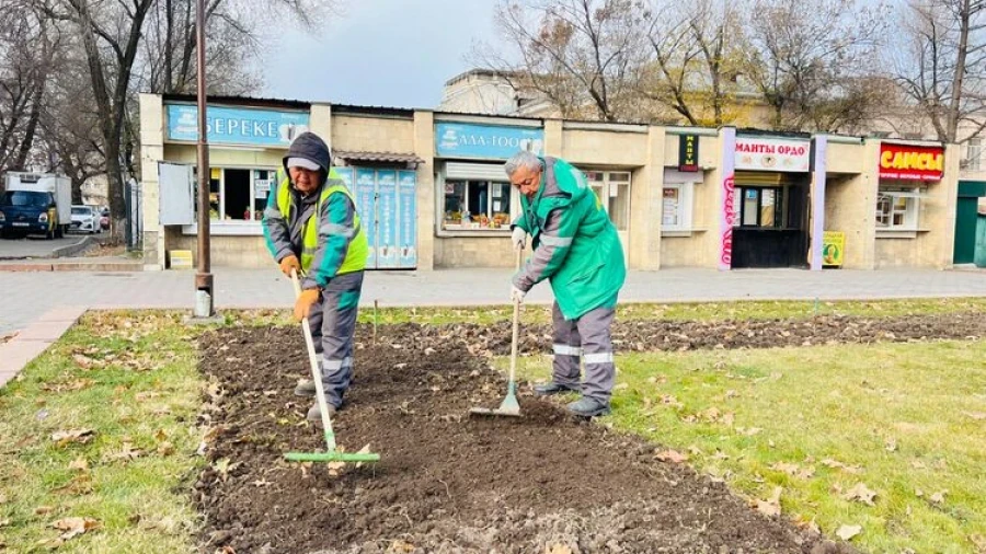 "Bishkekzelenstroy": Bishkek Residents, Do Not Dig Up Tulips