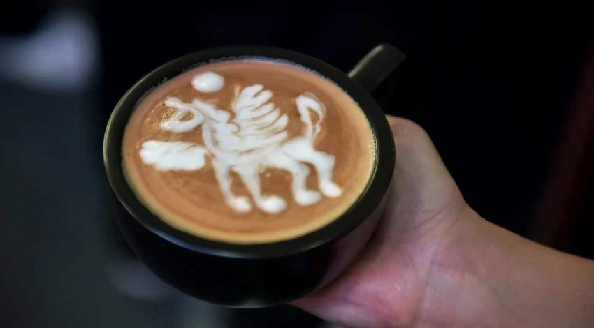 At the Coffee Fest KG festival in Bishkek, workshops and lectures were held