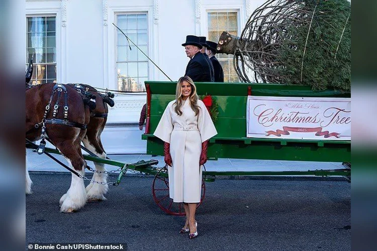 Melania Trump Welcomed the Main Christmas Tree of the USA at the White House