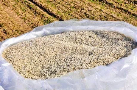 In Kyrgyzstan, an innovative seed planting method has been implemented