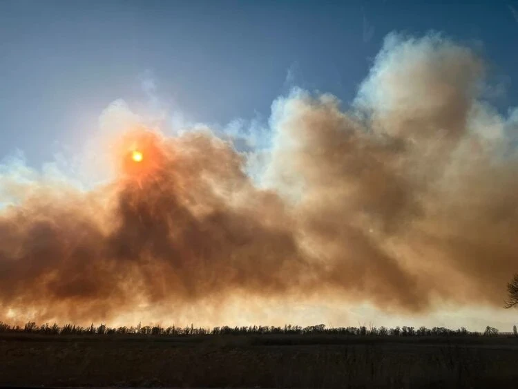 The city is covered in smoke: dry grass and shrubs are burning in Tokmok