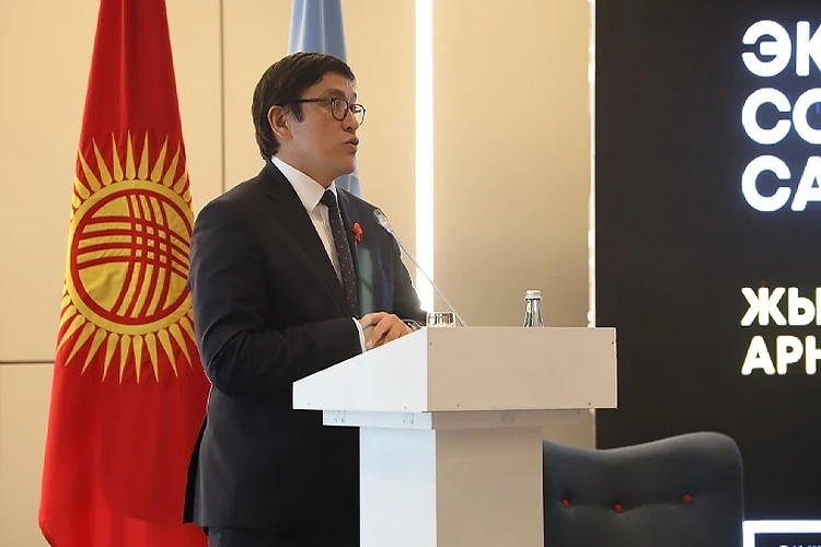 In Bishkek, the promotion of national programs of the Kyrgyz Republic was discussed following the summit in Doha.
