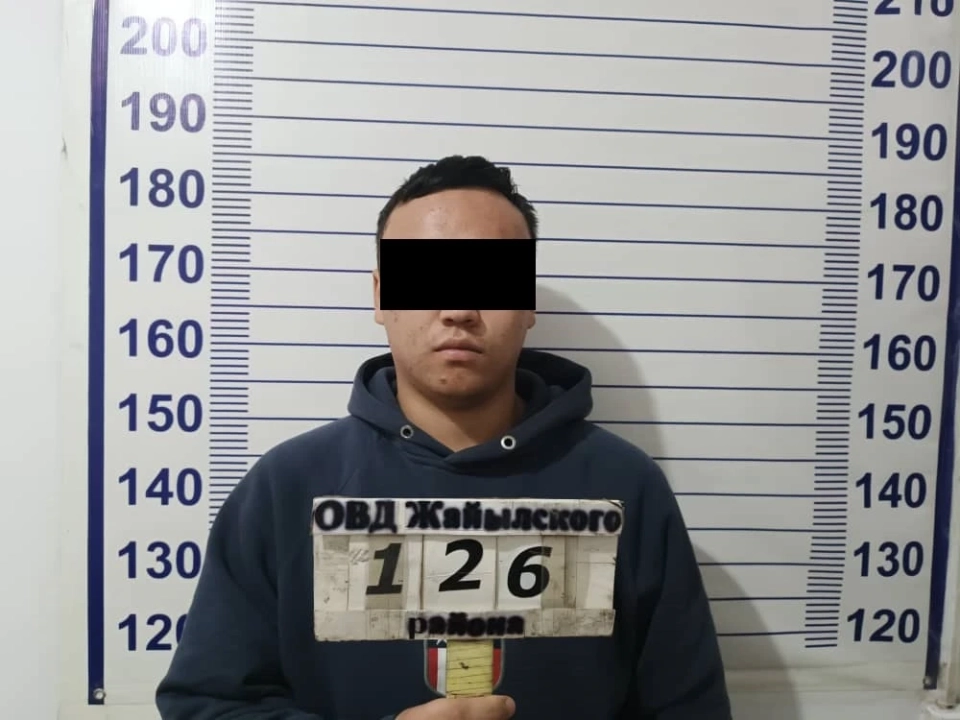 В Чуйской области задержан дроппер