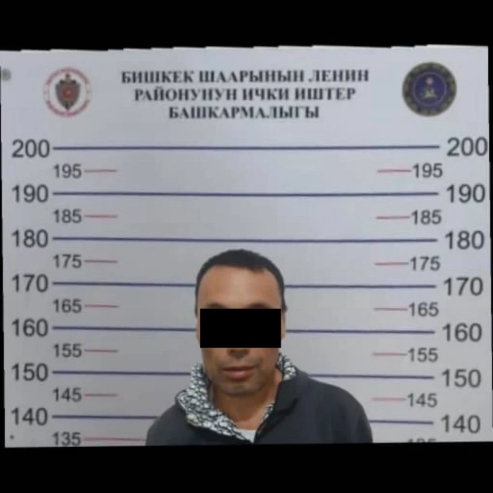 В Бишкеке под электронное наблюдение отправили мужчину за кражу из частного дома