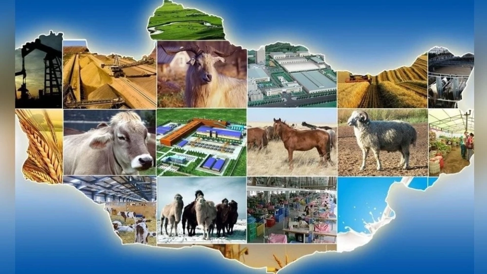 The Cabinet instructed the Minister of Food and Agriculture to ensure strategic reserves