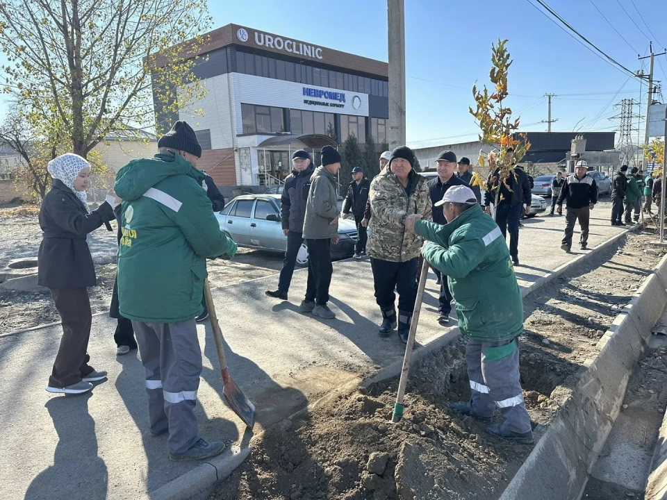 In the city of Osh, 1000 saplings are being planted