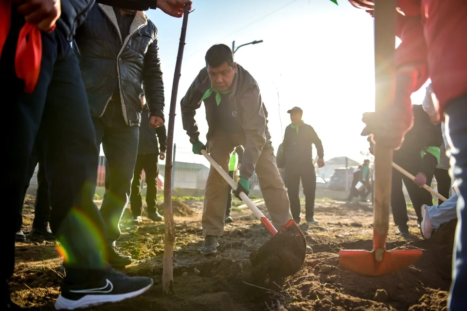 В Бишкеке высадили более 500 деревьев в рамках осенней кампании по озеленению