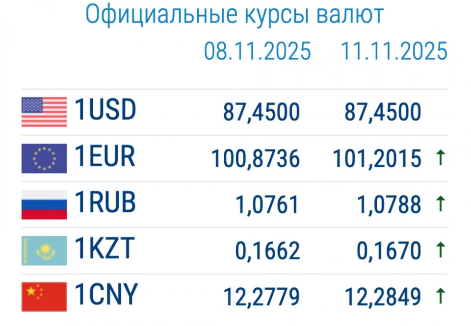 Exchange Rates in Commercial Banks on November 11. Changes in the Dollar and Euro