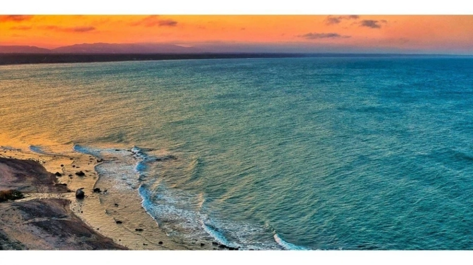 Каспий деңизинин жээгинде 70тен ашык өлгөн тюленьдердин тушу табылды