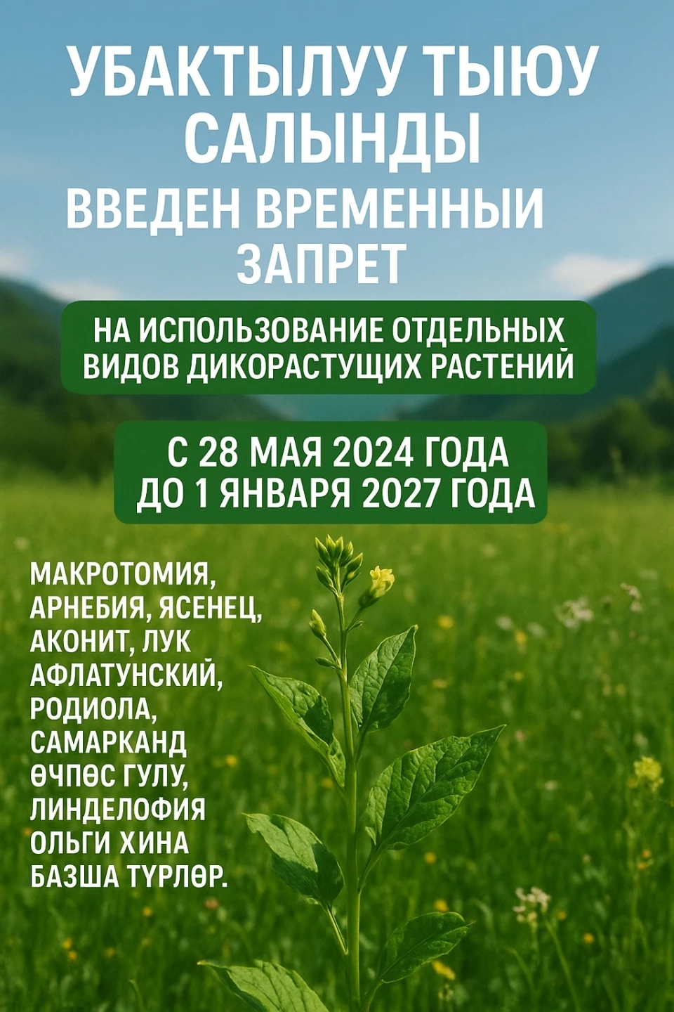 Temporary ban on the collection and use of certain types of plants introduced