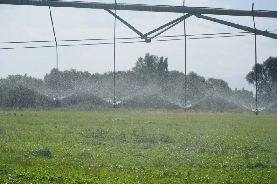 Узбекистан предложил Центральной Азии создать Цифровой аграрный альянс