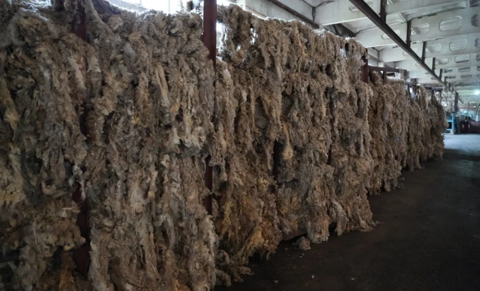 В Кара-Кульджинском районе откроется предприятие по переработке шерсти