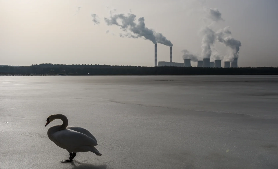 Выбросы CO2 от ископаемого топлива достигнут рекордных 38,1 млрд тонн