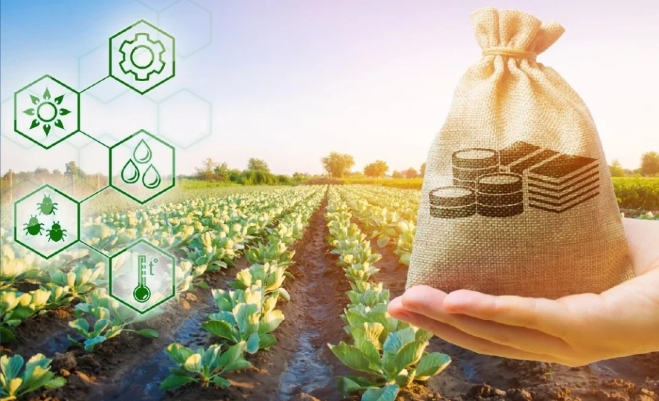 Under the "FSH-13" project, farmers have been granted more than 4 billion soms in preferential loans.