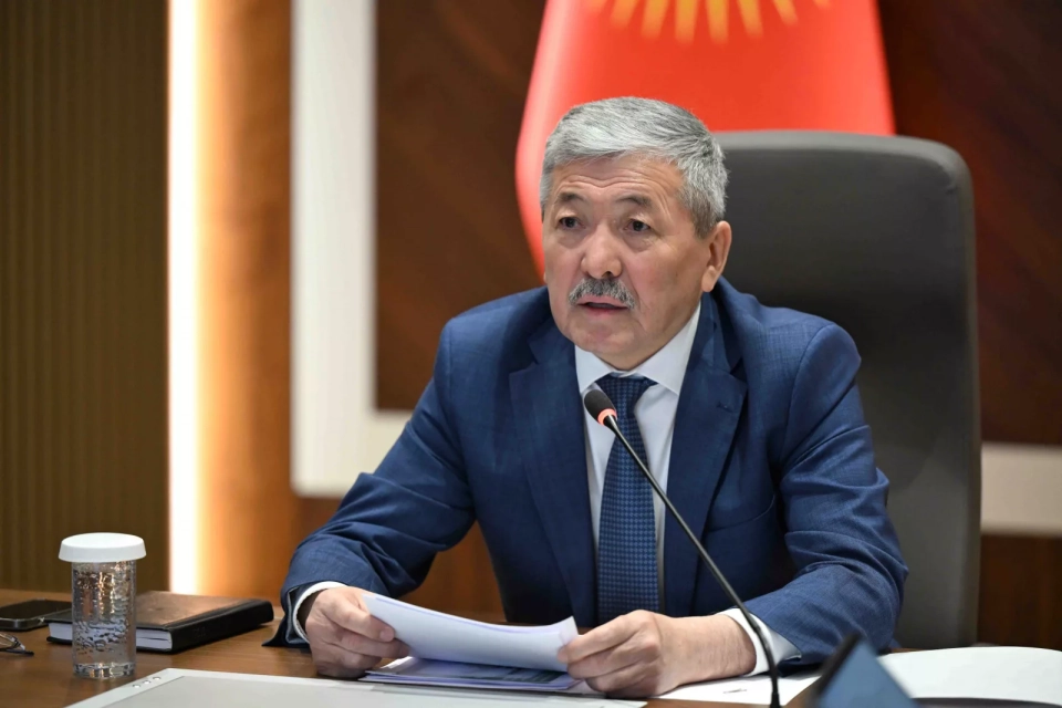 Adylbek Kasymaliev presented the results of simplifying the licensing procedures for private schools and replacing driver's licenses.