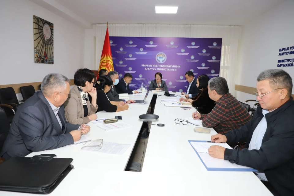 In Bishkek, the reform of the driver training system was discussed