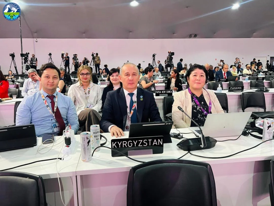 Meder Mashiyev presented Kyrgyzstan's position at COP30 in Brazil