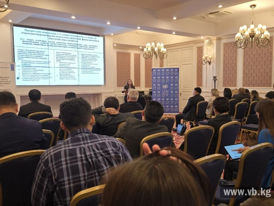 In Bishkek, the national program for biodiversity until 2040 has been approved
