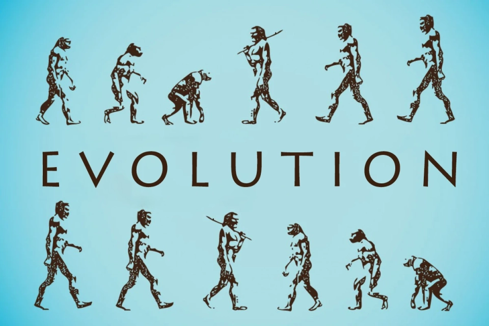 Can Evolution Have a "Plan B" in Case Our Species Disappears?