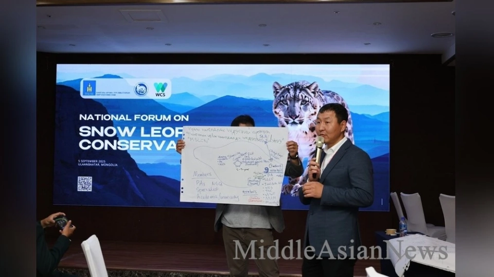 Станет ли новый железнодорожный проект в Монголии новой угрозой для снежных барсов?