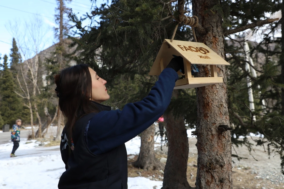 В природном парке «Ала-Арча» установили экокормушки для птиц