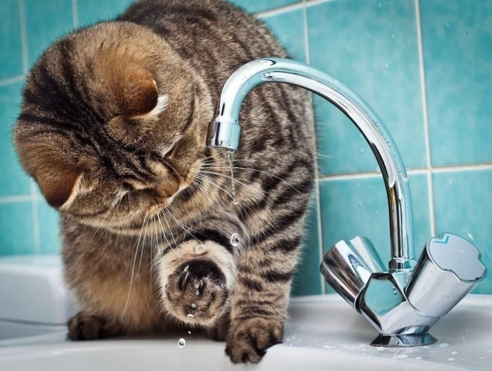 Завтра в некоторых районах Бишкека отключат воду