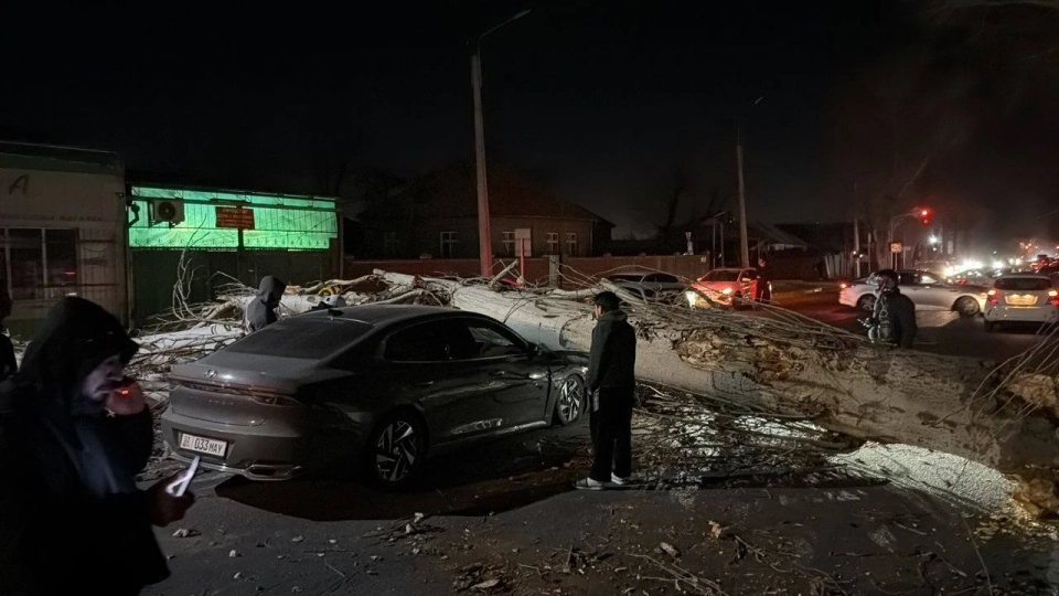 В Бишкеке ночью дерево упало на машину и перекрыло улицу Элебесова