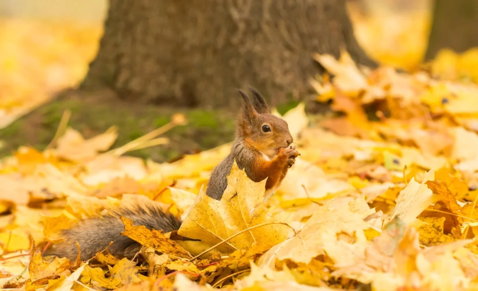 Residents of Bishkek are expecting warm and mostly clear weather at the beginning of December.