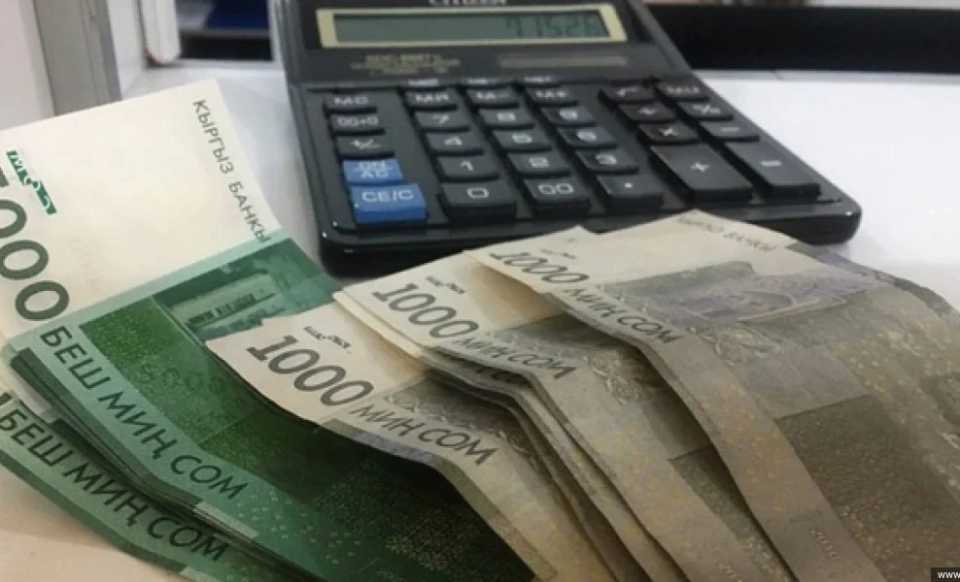 CEC KR: 147 million soms received in the budget from candidates for deputies of the Jogorku Kenesh