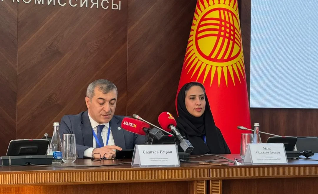 No violations affecting the course of the elections were found - OIC delegation