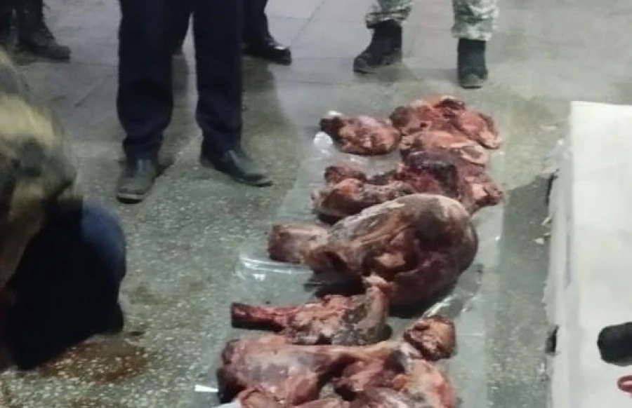 In the At-Bashinsky District, illegal hunting of mountain goats took place