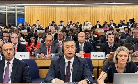 Кыргызстандын делегациясы ММОнун 34- сессиясынын ишине катышты