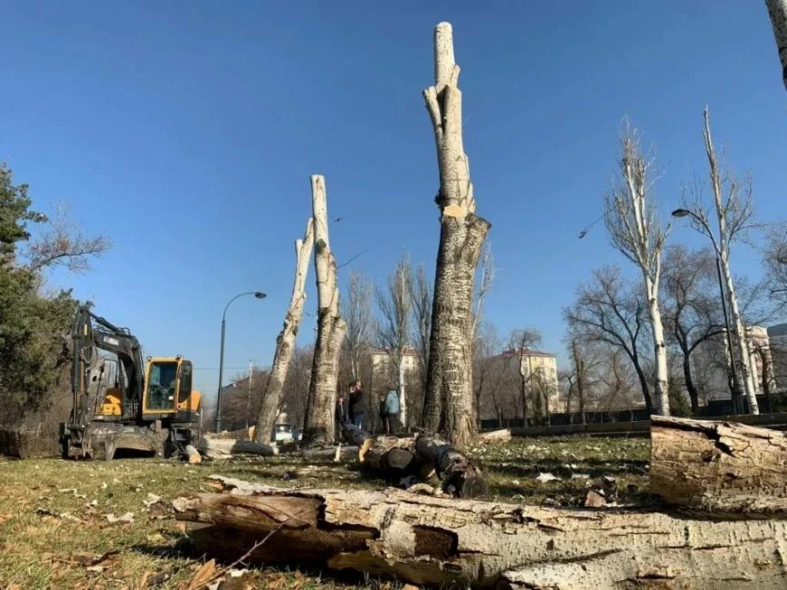 Master Plan. The number of green spaces in Bishkek has decreased by 25 percent