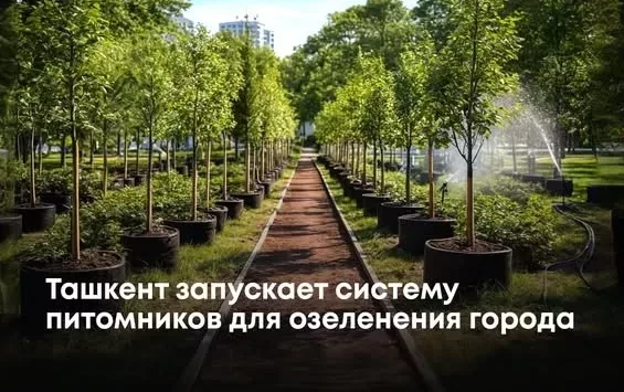 Tashkent Launches Nursery System for Urban Greening