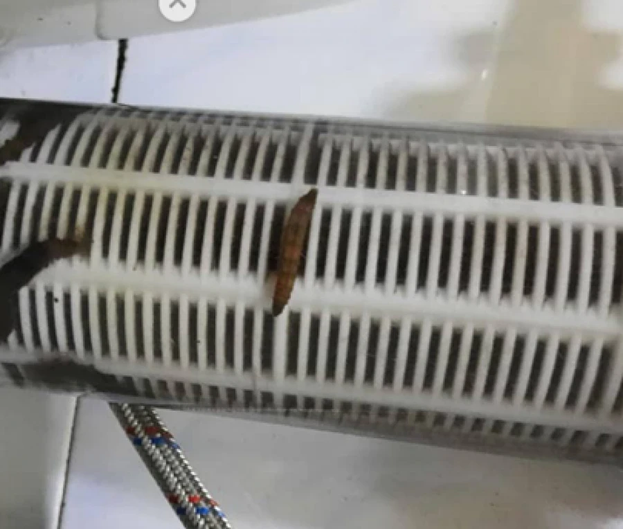 Dirt and parasites found in drinking water in Karakol