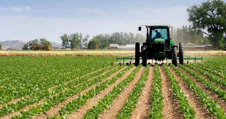 For the damage to agricultural land in Kyrgyzstan, one will have to pay up to 8.5 million soms.