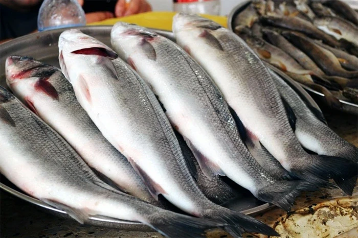 In Kyrgyzstan, a National Center for Aquaculture and Fisheries Development will be established