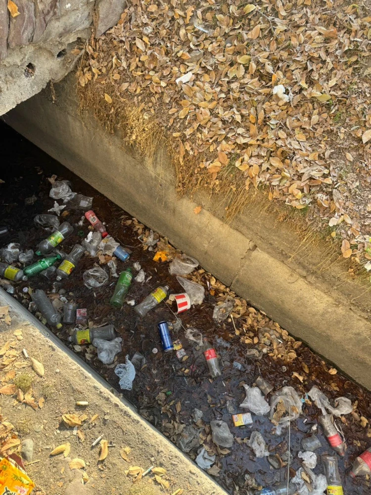 Residents of Sukhomlinova complained about trash and fights in the yard