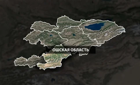 In Osh Region, 53 enterprises will be established for processing vegetables, meat, and rice