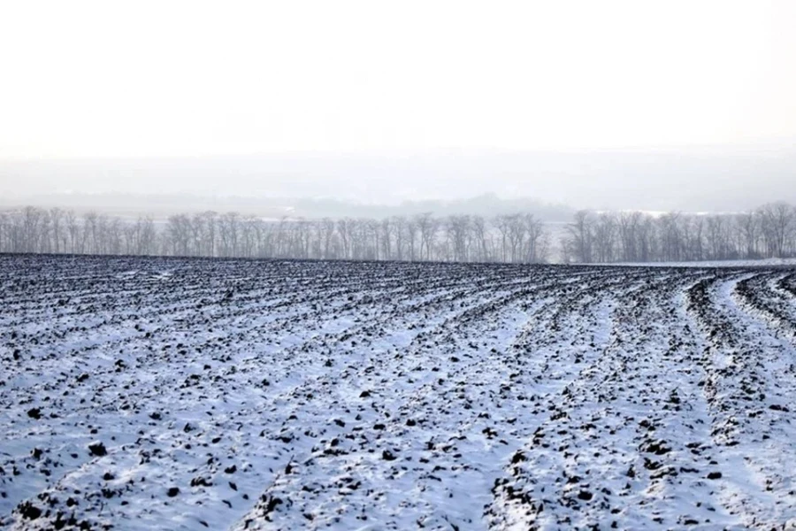 The land is not prepared for winter. Torobaev urges farmers to expedite preparations.