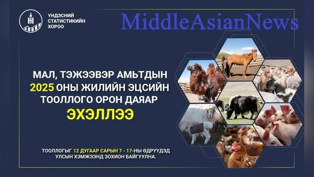 Mongolia Begins Livestock Census of 2025