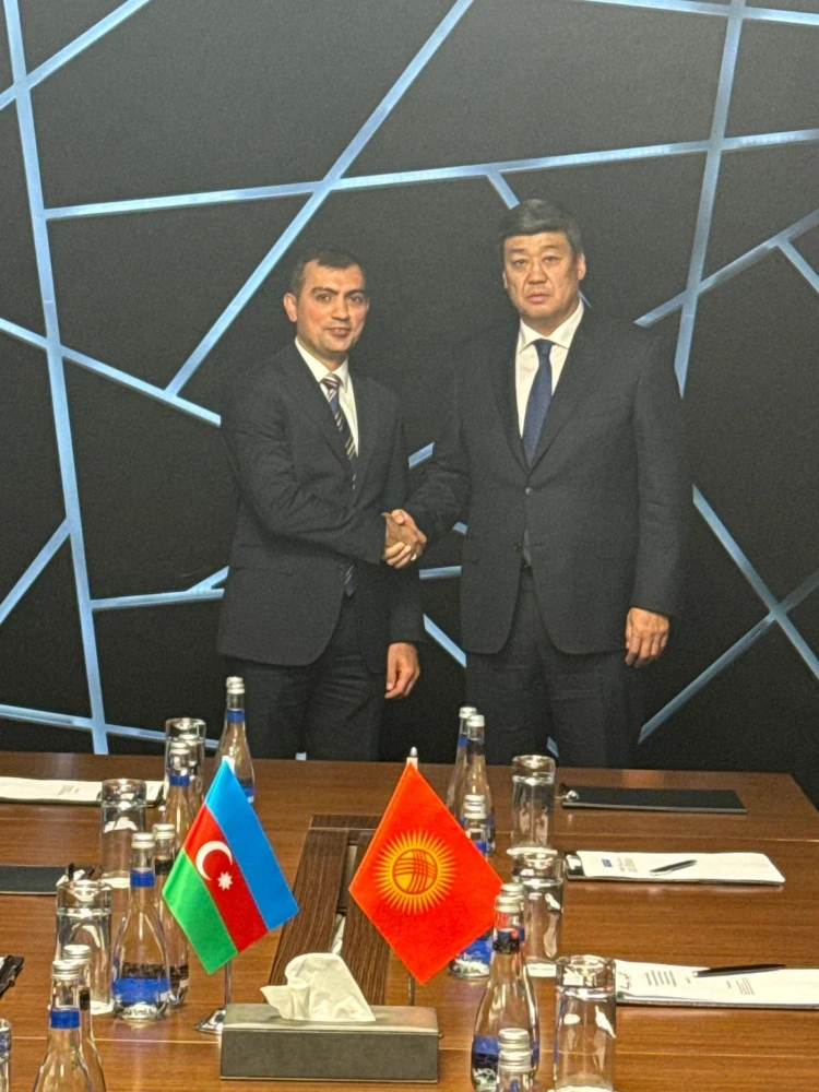 Kyrgyzstan expressed interest in using Azerbaijani satellites