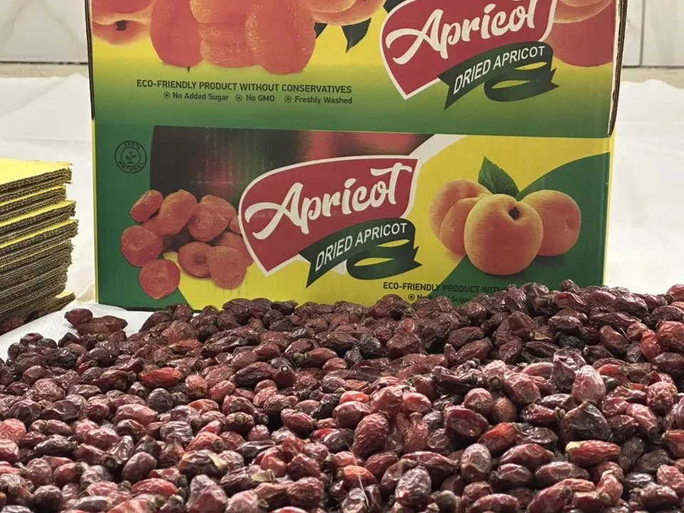 Продукция баткенских садоводов выходит на новые рынки благодаря новому предприятию