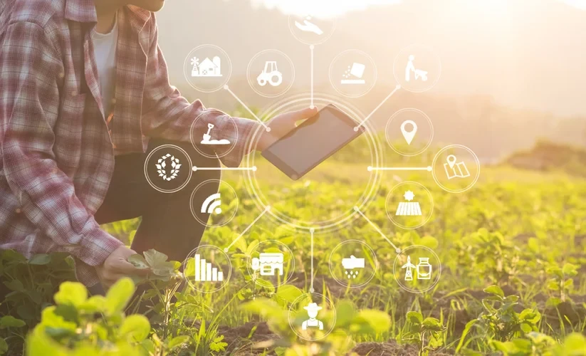 How Digital Services Help Kyrgyz Farmers Increase Sales and Save Time