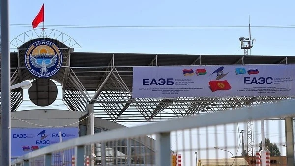 Кыргызстанга Ирандан 6,4 тоннан ашык балык өткөрбөй коюшту