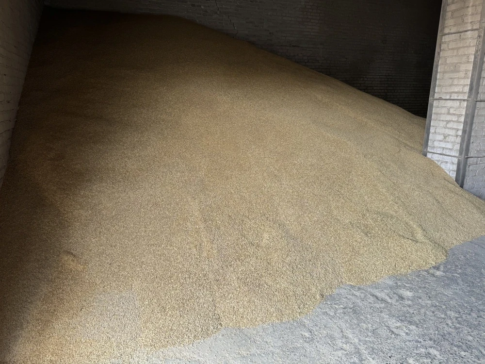 The Ministry of Agriculture urges farmers to choose certified seeds