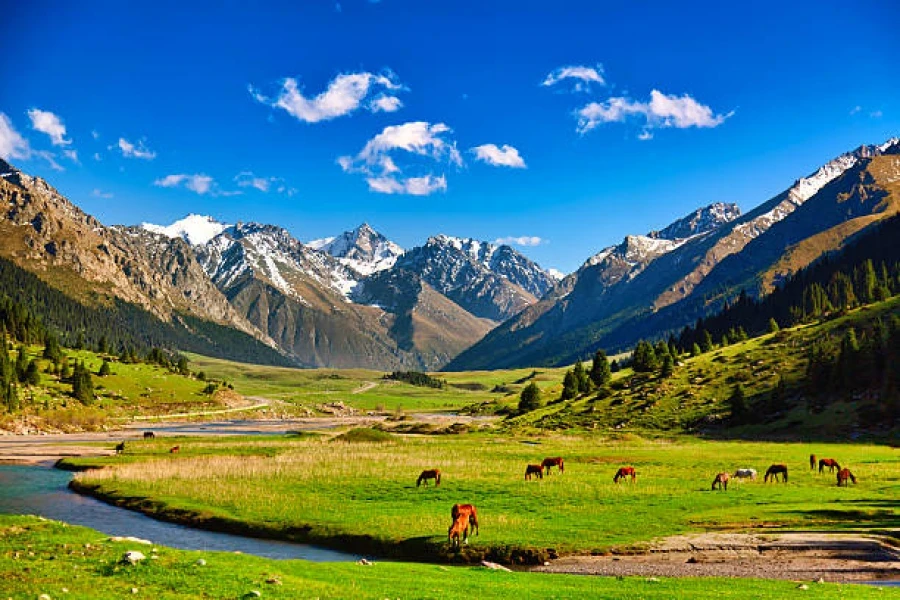 Kyrgyzstan Recognized as the Best Foreign Destination for Tourists in 2025