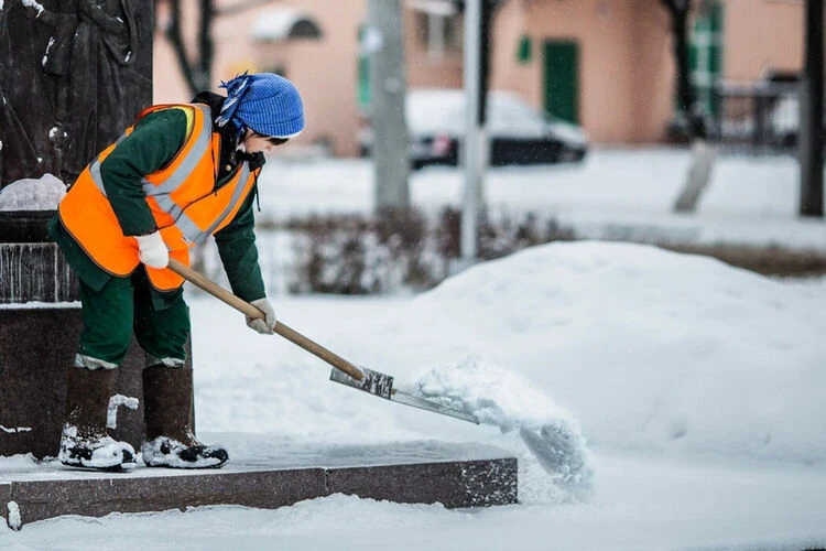 The Governor of St. Petersburg explained why migrants were banned from working as couriers